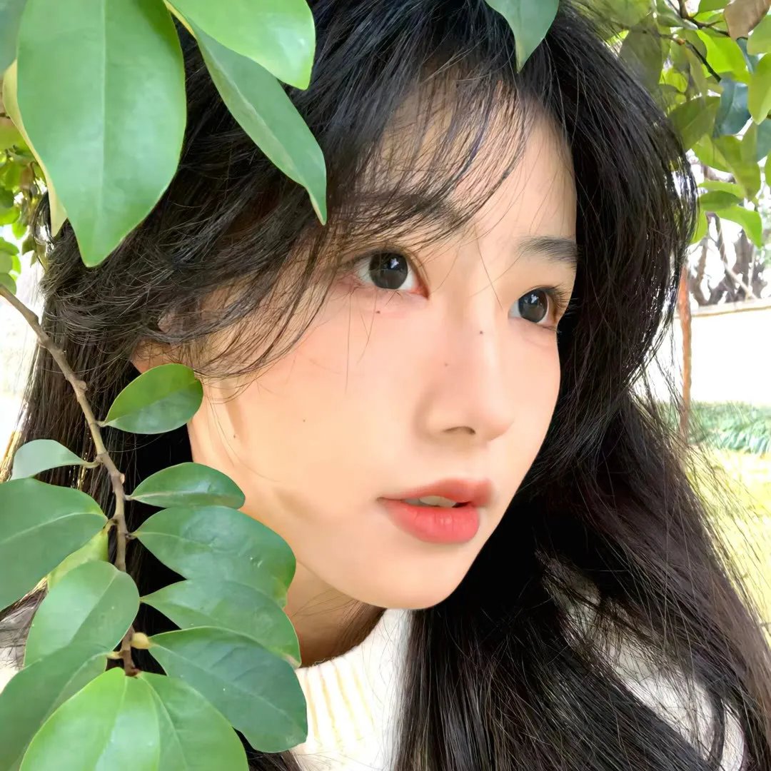扭曲的家